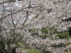 城山公園