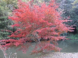 小松寺