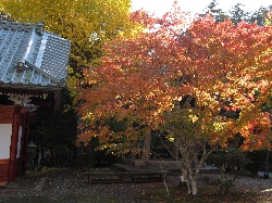 小松寺