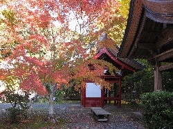 小松寺