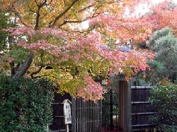 城山公園