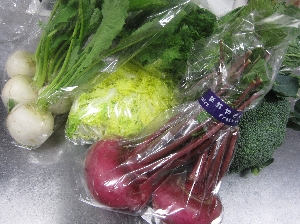 冬野菜
